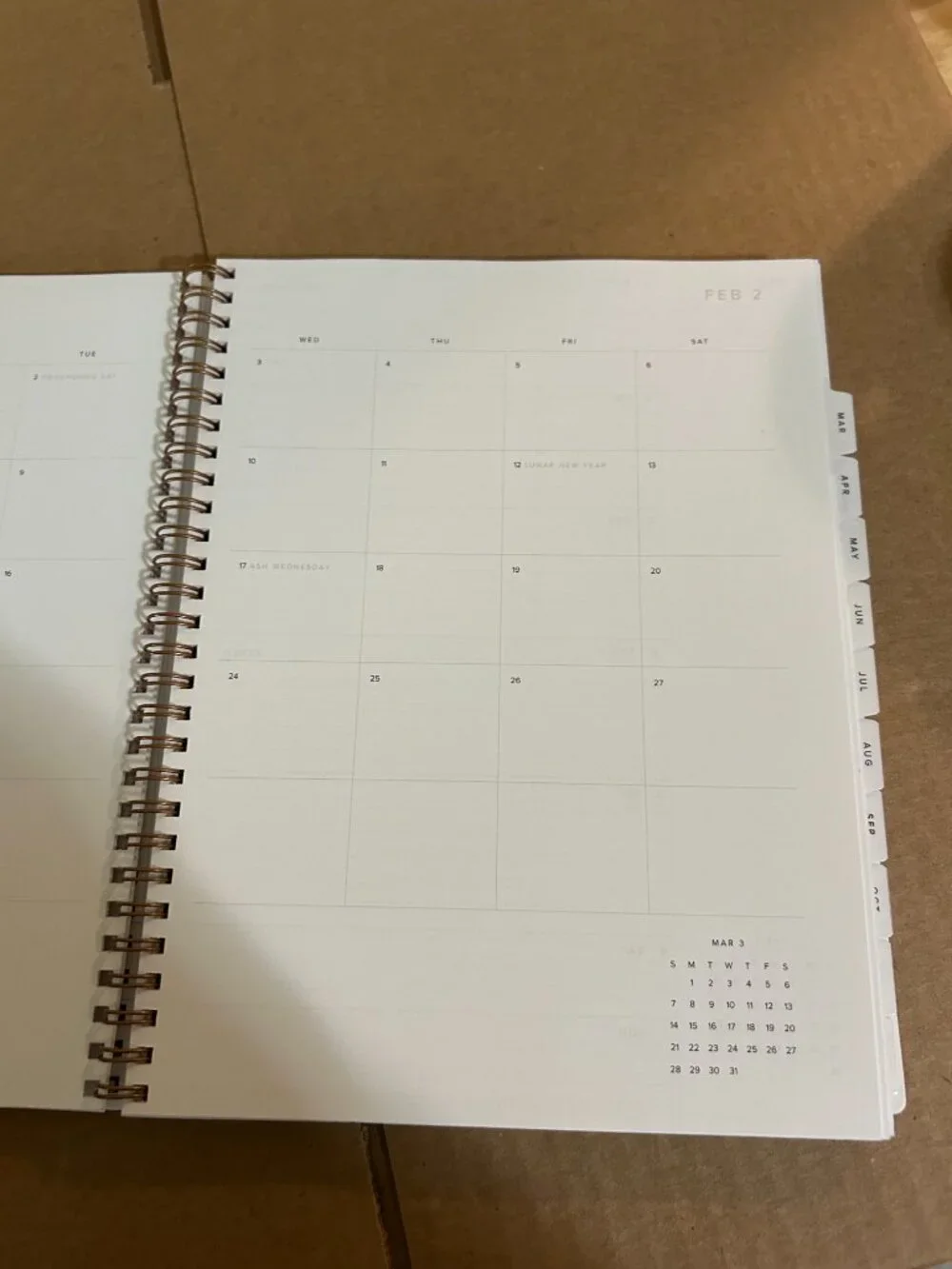 NWOT Appointd x The Anna Edit Lavender Yearly Planner